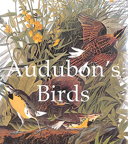 Beispielbild fr Audubon's Birds (Mega Squares) zum Verkauf von HALCYON BOOKS