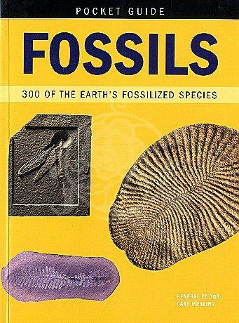 Beispielbild fr Fossils (Pocket Guides) zum Verkauf von WorldofBooks