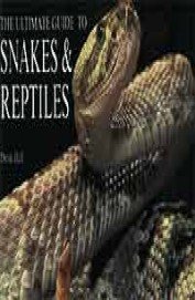Beispielbild fr Snakes and Reptiles zum Verkauf von Reuseabook