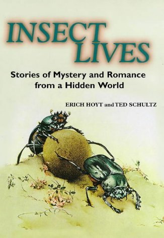 Stock image for Insect Lives: Stories of Mystery and Romance from a Hidden World for sale by Hippo Books