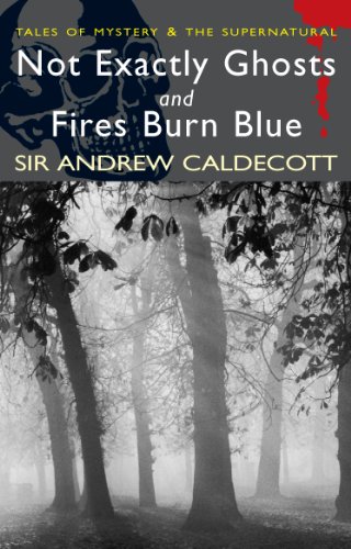 Stock image for Not Exactly Ghosts/Fires Burn Blue (Wordsworth Mystery & Supernatural) for sale by WorldofBooks