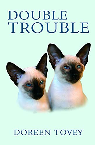 Imagen de archivo de Double Trouble a la venta por AwesomeBooks