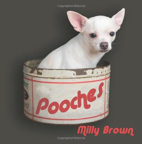 Stock image for Pooches for sale by MusicMagpie