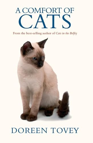 Beispielbild fr A Comfort of Cats zum Verkauf von AwesomeBooks