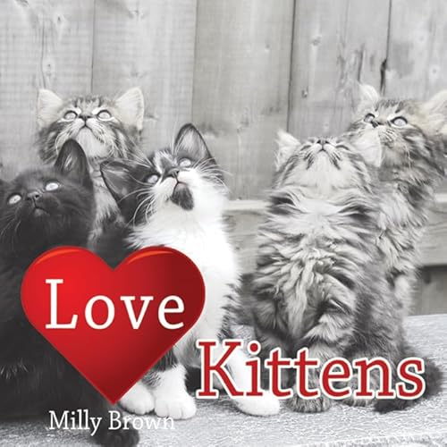 Beispielbild fr Love Kittens zum Verkauf von AwesomeBooks