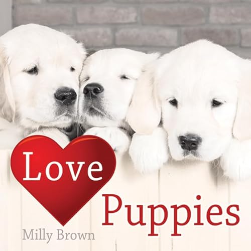 Stock image for Love Puppies for sale by AwesomeBooks