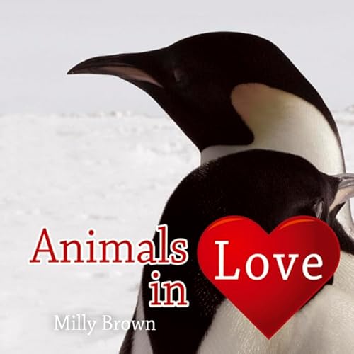 Stock image for Animals in Love for sale by WorldofBooks