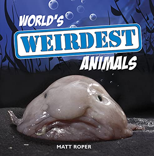 9781840247497: World's Weirdest Animals