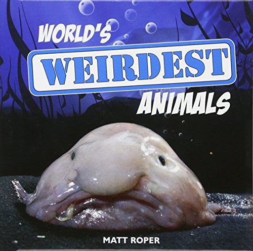 Stock image for World's Weirdest Animals for sale by Better World Books