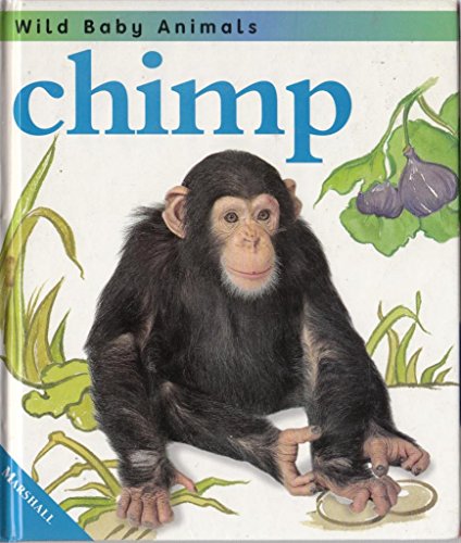 Stock image for Chimp (Wild Baby Animals S.) for sale by WorldofBooks