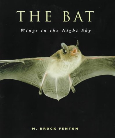 Beispielbild fr The Bat. Wings in the Night Sky. zum Verkauf von Lawrence Jones Books