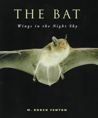 Stock image for The Bat: Wings in the Night Sky for sale by ThriftBooks-Atlanta