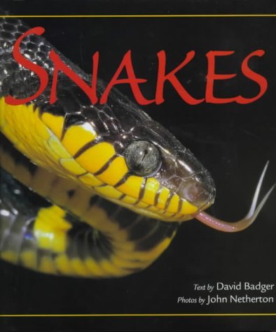 Snakes (9781840371338) by Badger, David