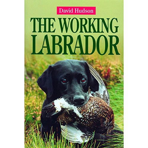 Beispielbild fr The Working Labrador zum Verkauf von WorldofBooks