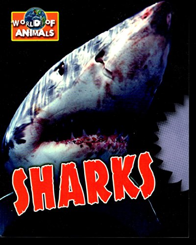 Beispielbild fr Sharks zum Verkauf von Wonder Book