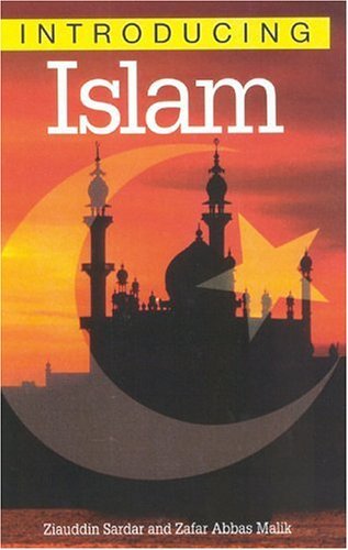Beispielbild fr Introducing Islam: A Graphic Guide zum Verkauf von AwesomeBooks