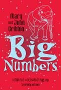 Beispielbild fr Big Numbers zum Verkauf von Wonder Book