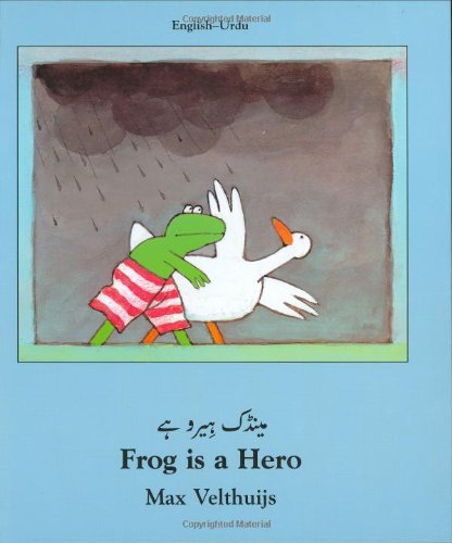 9781840592061: Frog is a Hero