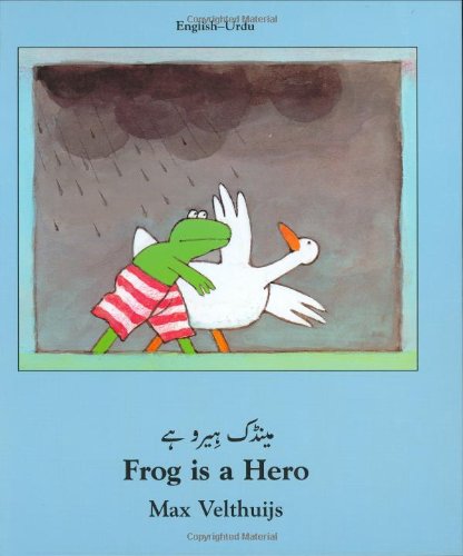 9781840592061: Frog Is a Hero
