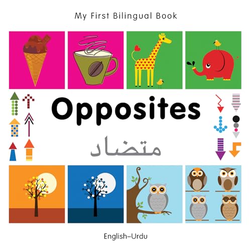 9781840597462: My First Bilingual Book - Opposites: English-urdu