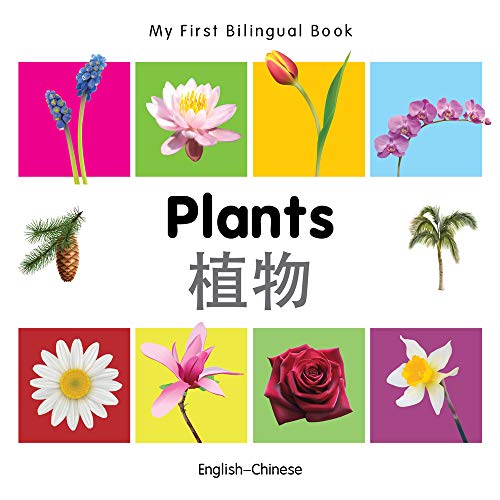9781840598766: My First Bilingual Book - Plants (English-Chinese)
