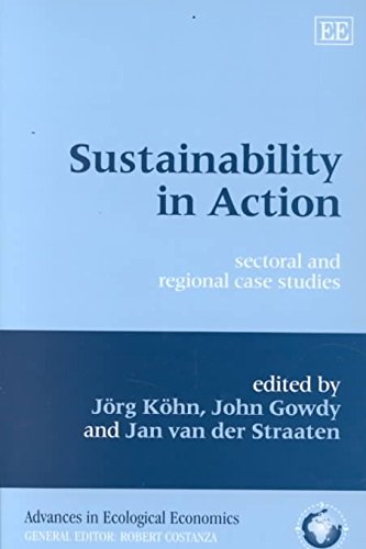 Stock image for Sustainability in Action for sale by Books Puddle