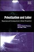 Stock image for Privatization and Labor: Responses and Consequences in Global Perspective for sale by Anybook.com