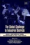 Stock image for The Global Challenge to Industrial Districts: Small and Medium-sized Enterprises in Italy and Taiwan for sale by WorldofBooks