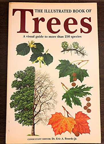 Imagen de archivo de The Illustrated Book of Trees: A Visual Guide to More Than 250 Species a la venta por ZBK Books