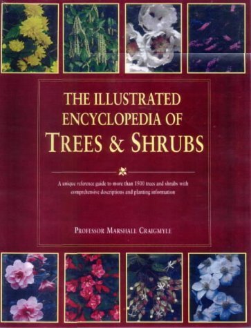 Stock image for ILLUS ENCY OF TREES AND SHRUBS for sale by WorldofBooks