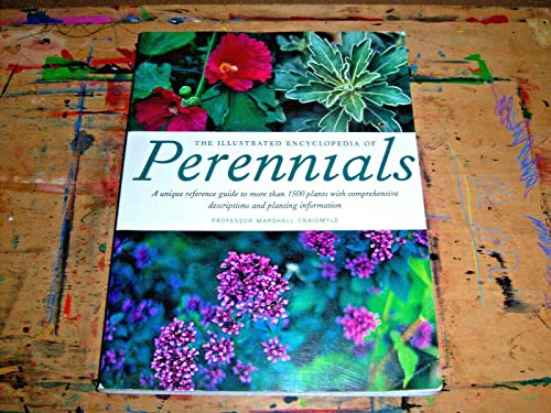 Stock image for The Illustrated Encyclopedia of Perennials for sale by Better World Books: West