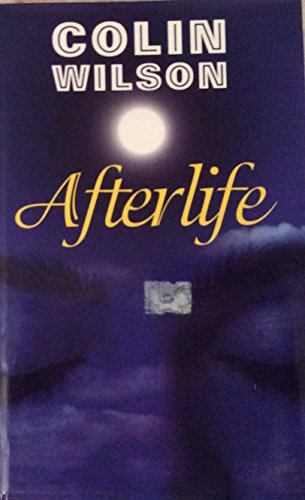 9781840672831: Afterlife