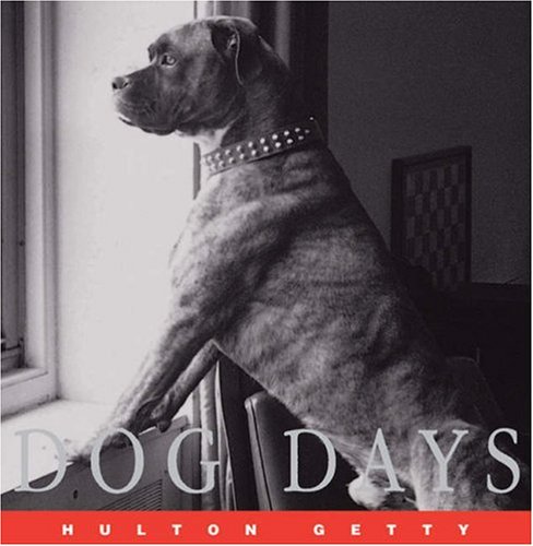 Beispielbild fr Hulton Getty Picture Library: Dogdays zum Verkauf von Reuseabook