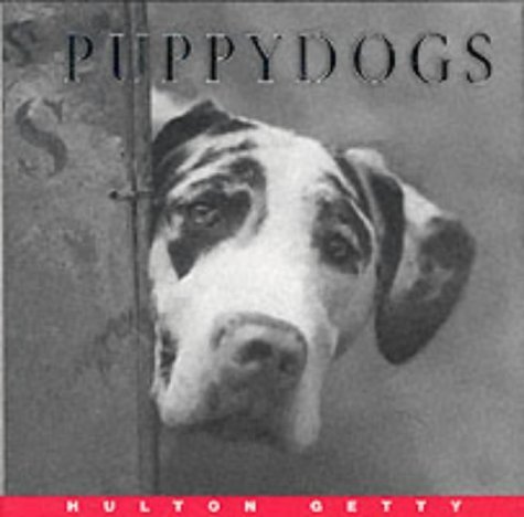 Beispielbild fr Hg Photo: Puppydogs (Hulton Getty Picture Library) zum Verkauf von Reuseabook