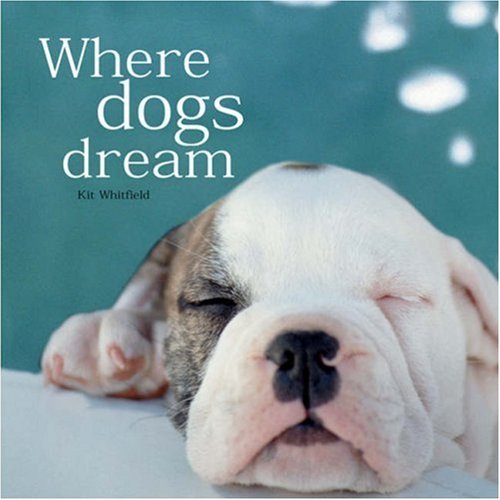 Beispielbild fr Where Dogs Dream zum Verkauf von GF Books, Inc.