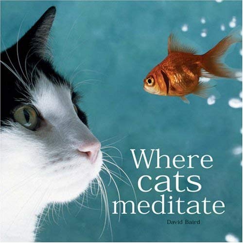 Beispielbild fr Where Cats Meditate zum Verkauf von WorldofBooks