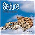 Stock image for 100 Kitsch Tips: Seduce: 100 Tips to Arouse for sale by Reuseabook