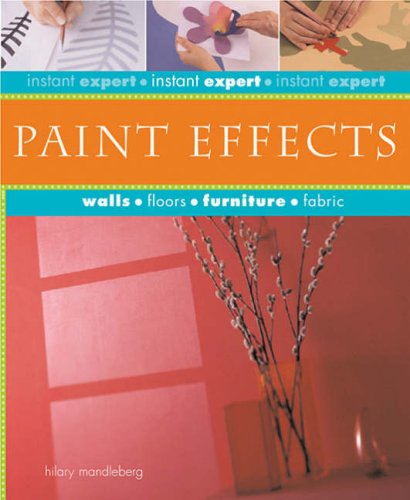 Beispielbild fr Paint Effects zum Verkauf von Better World Books Ltd