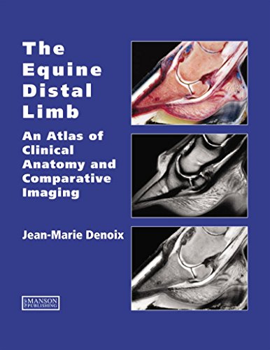 Imagen de archivo de The Equine Distal Limb: An Atlas of Clinical Anatomy and Comparative Imaging a la venta por Byrd Books