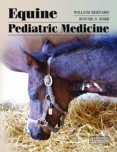 Beispielbild fr Equine Pediatric Medicine zum Verkauf von Reuseabook