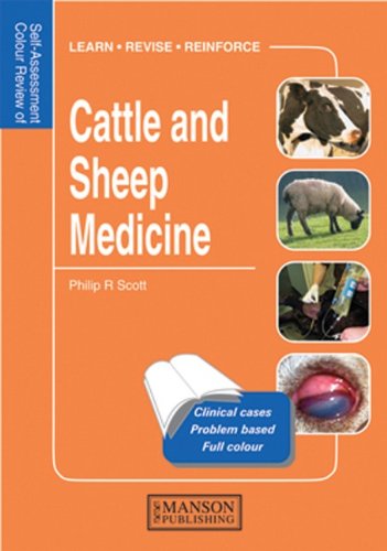 9781840765991: Cattle and Sheep Medicine