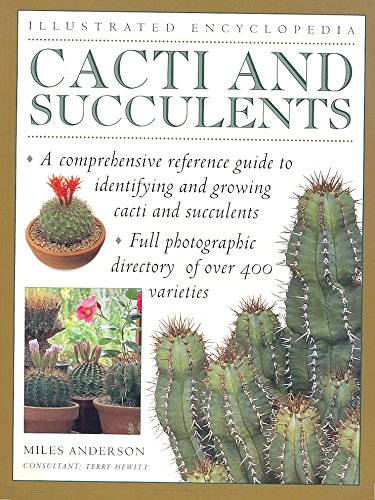 Stock image for Illustrated Encyclopedia Cacti and Succulents for sale by Half Price Books Inc.