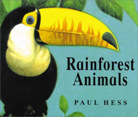 9781840891720: Rainforest Animals (Animal Verse series)