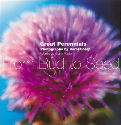 Imagen de archivo de From Bud to Seed: Ten Great Perennials a la venta por AwesomeBooks