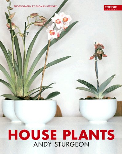 Imagen de archivo de House Plants a la venta por Better World Books