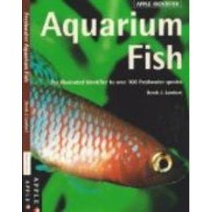 Aquarium Fish (Apple Identifier) (9781840923056) by Lambert, Derek J.