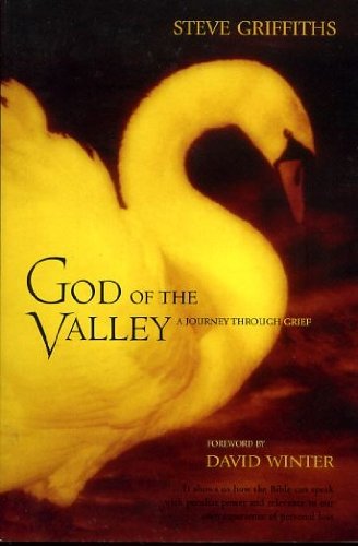 Beispielbild fr God of the Valley: A Journey through Grief zum Verkauf von Bahamut Media