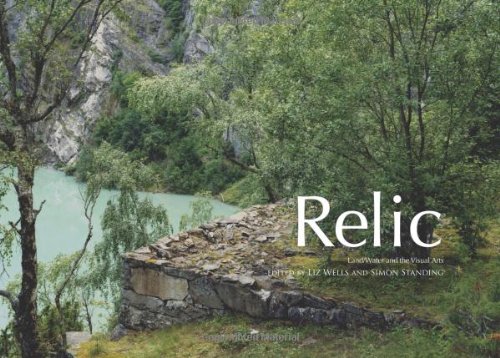 Stock image for Relic: Land/water and the Visual Arts for sale by WorldofBooks