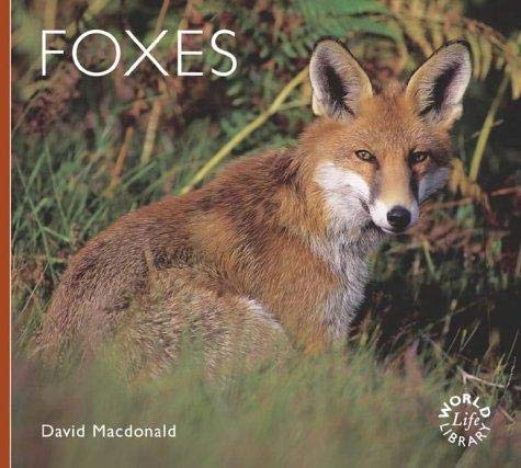 Stock image for Foxes (Worldlife Library) for sale by WorldofBooks