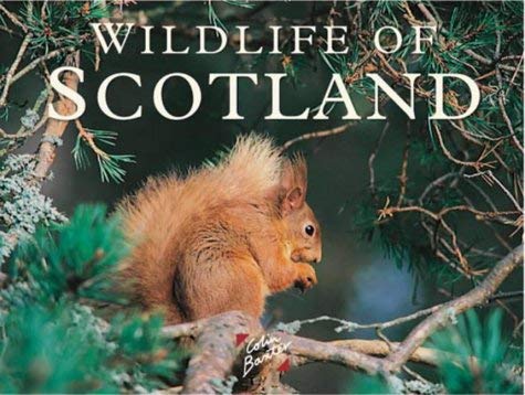 Beispielbild fr Wildlife of Scotland (Colin Baxter Gift Book) zum Verkauf von WorldofBooks